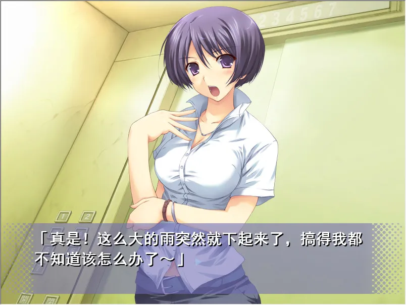 点击放大 密室 -Situation Elevator-