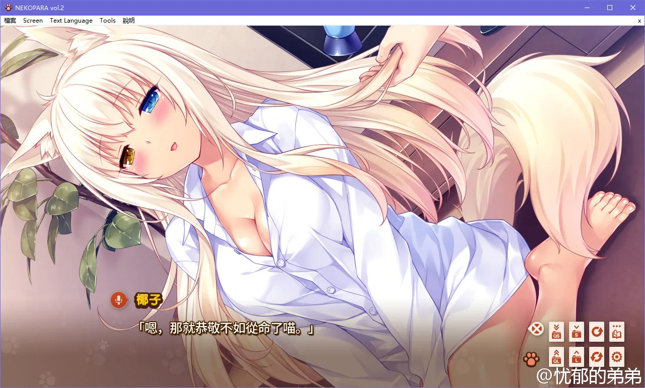 Nekopara vol.2（ネコぱら vol.2）巧克力与香子兰2