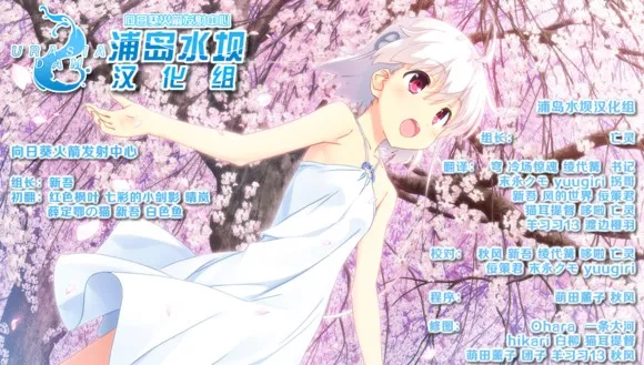 点击放大 向日葵:天空鹅卵石