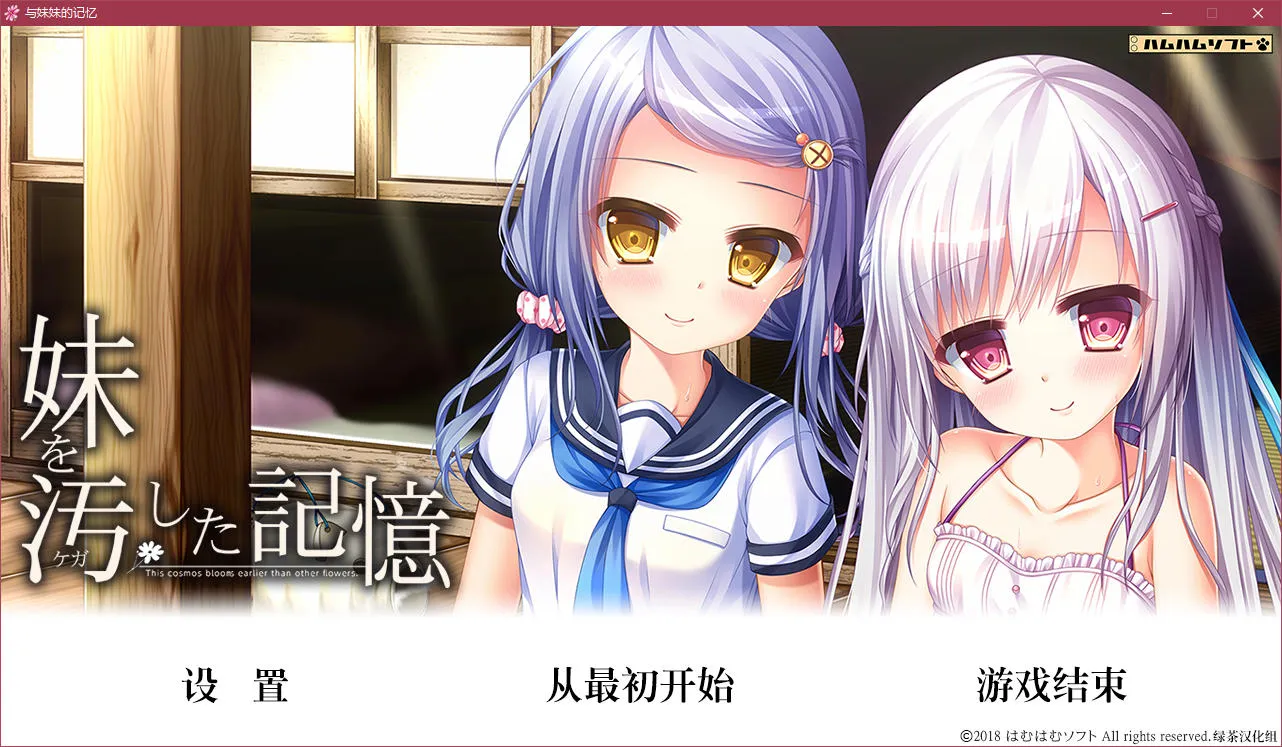 点击放大 与妹妹的记忆