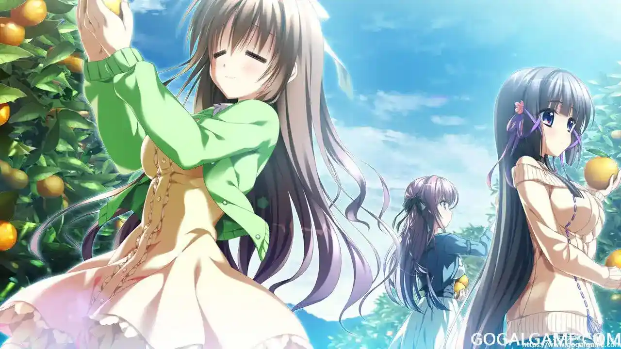 [minori] 罪之光