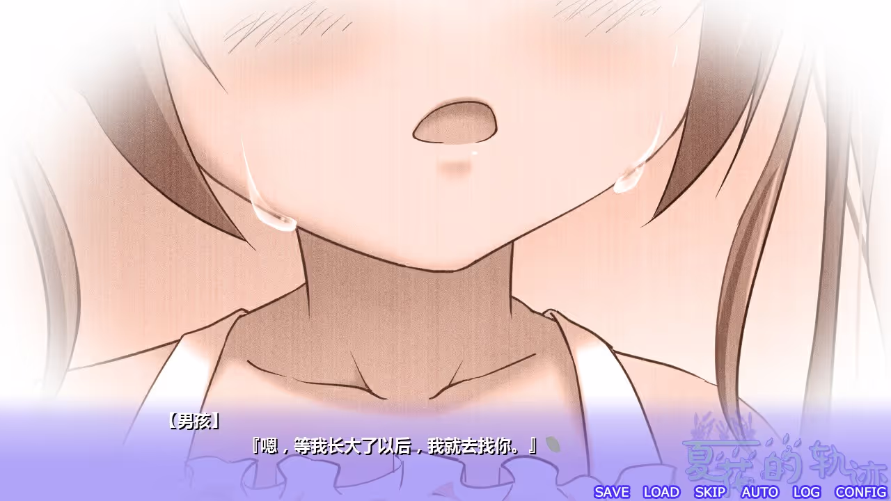 夏花的轨迹
