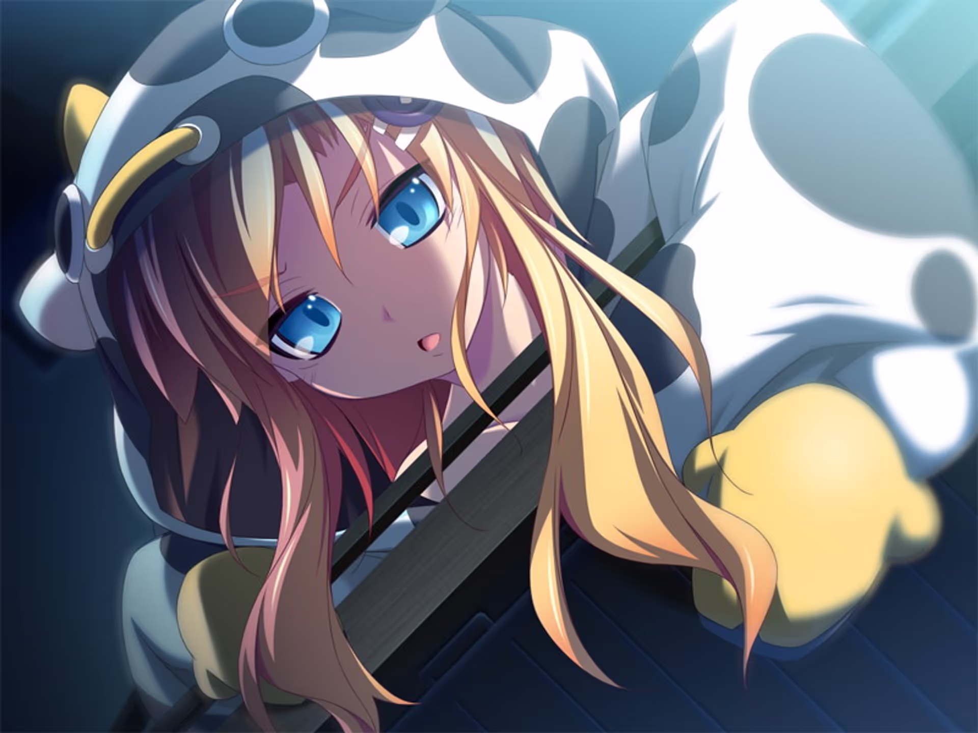 どんちゃんがきゅ~