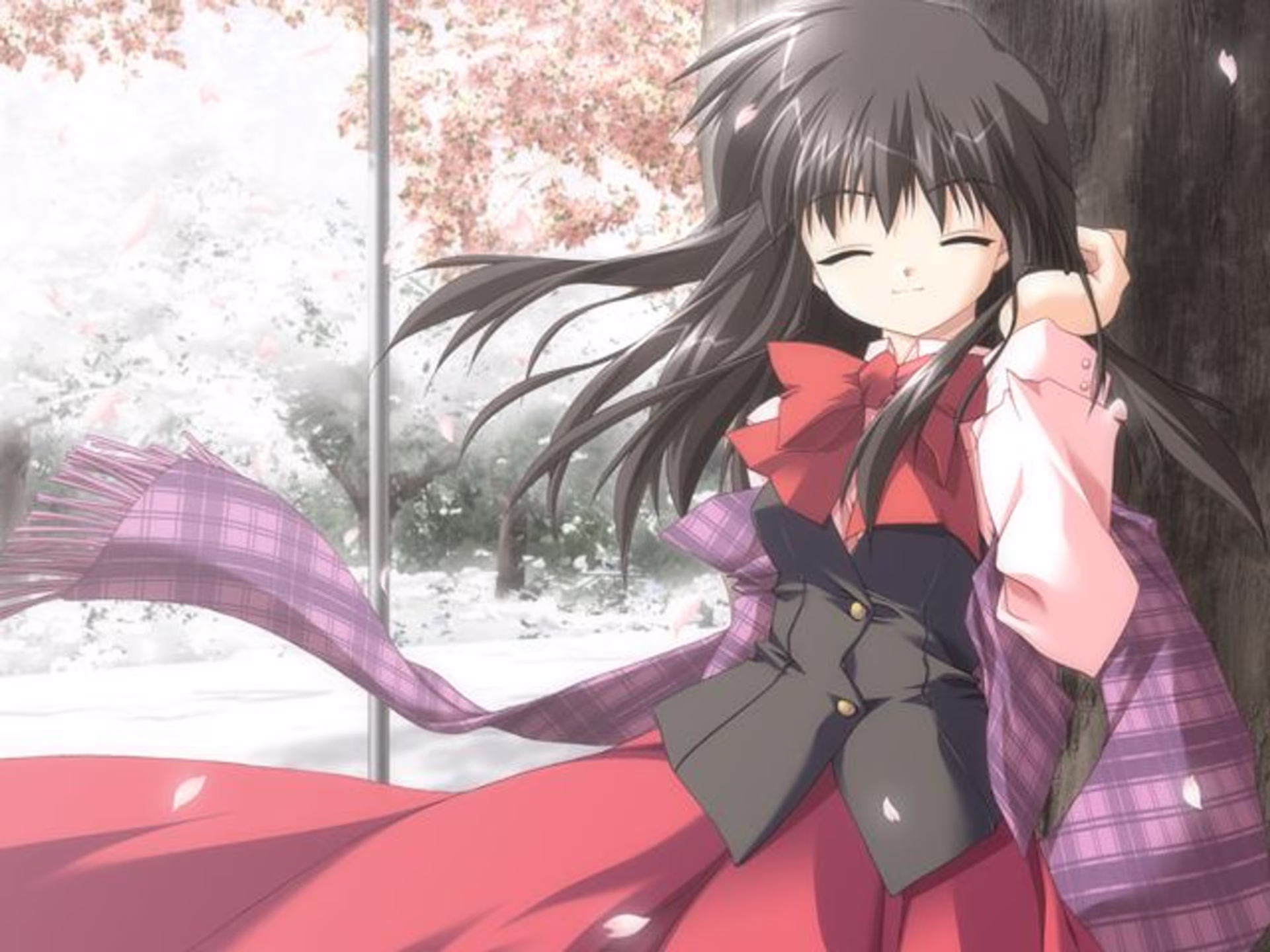 雪桜 ~ゆきざくら~