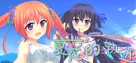 夏花的轨迹