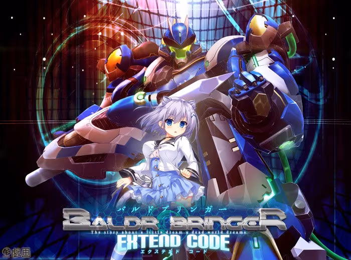BALDR BRINGER EXTEND CODE